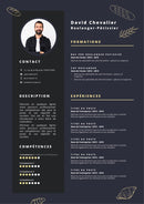 modèle cv boulanger pâtissier