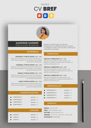 modèle cv gratuit simple