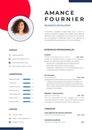 modele cv business developer