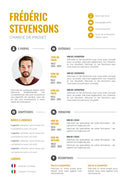 modèle cv chargé de projet