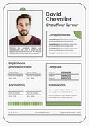 modele cv chauffeur livreur