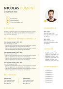 modele cv chauffeur taxi vtc