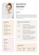 modele cv chef d'équipe