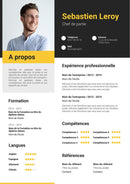 modele cv chef de partie