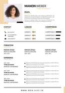 modèle de cv chef de projet