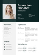 modele cv chef de rang