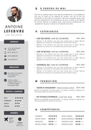 modèle cv chef des ventes