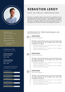 modèle de cv chef de projet organisation