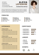 modele cv conducteur de bus