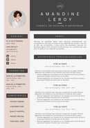 modèle cv gestion d'entreprise