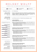 modèle cv conseiller en insertion professionnelle