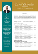 modèle cv conseiller de vente