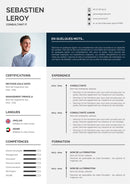 modèle cv consultant informatique