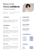 modèle cv consultant en management