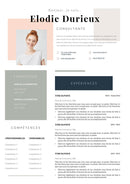 modèle cv consultant