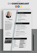 modèle cv convaincant noir