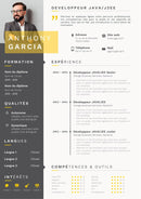 modèle cv développeur java