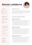 modèle cv directeur commercial