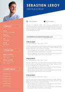 modèle cv directeur de projet