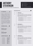 modèle cv directeur des systèmes d'information