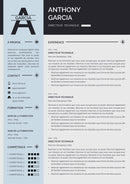 modèle cv directeur technique