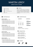 modele cv directeur usine