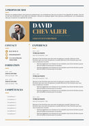 modèle cv dirigeant d'entreprise