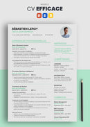 modèle cv efficace vert