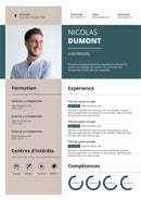 modele cv électricien