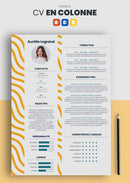 modèle cv en 2 colonnes avec fond