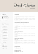 modele cv entraineur