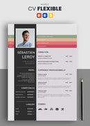 modèle cv flexible marron