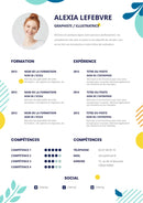 exemple de cv graphiste