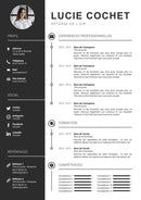 modele cv hôtesse de l'air