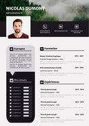 modèle cv infographiste