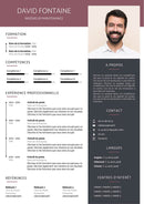 modèle cv ingénieur maintenance