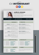 modèle cv gratuit word