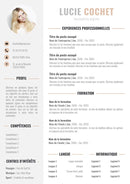 modele cv journaliste pigiste