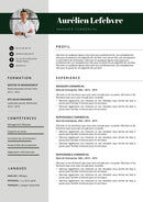 modèle cv manager commercial