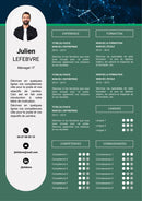 modèle cv manager it