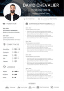 cv contemporain