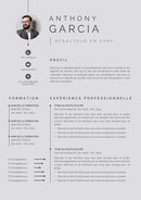 modele cv redacteur en chef