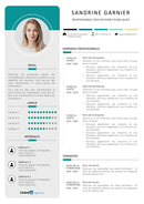 modele cv affaires publiques