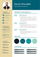 modele cv responsable production