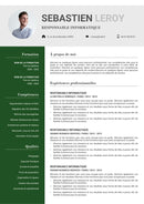 modèle cv responsable informatique