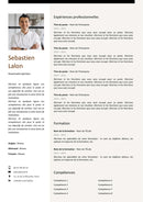 modele cv responsable logistique