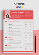 modèle cv rose