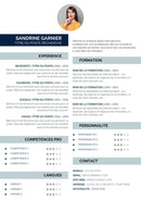cv gratuit simple