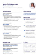 cv épuré