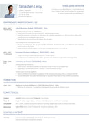 cv traditionnel